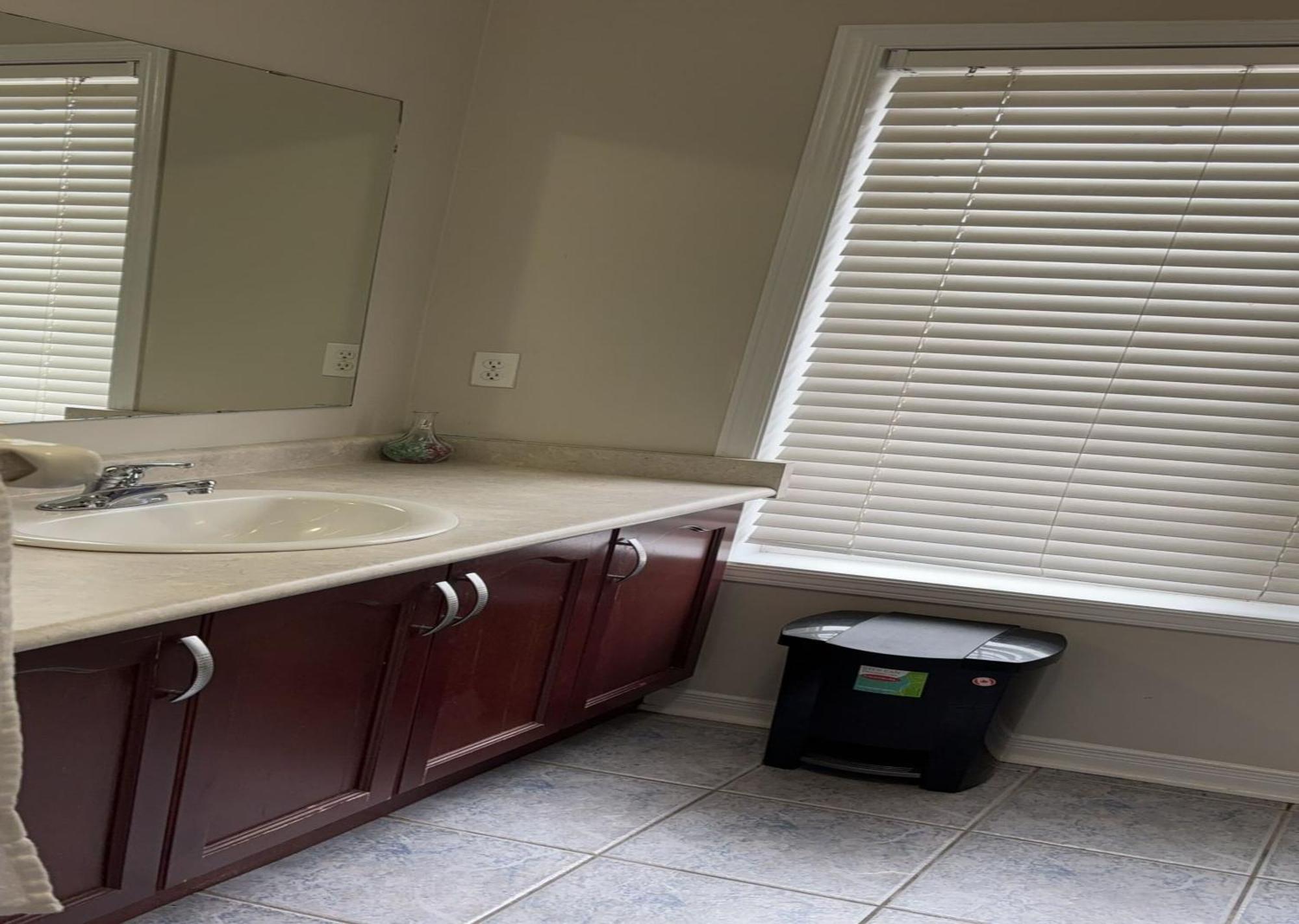 Bright Queen Room Close To Sheridan College And Airport Brampton Bagian luar foto